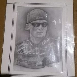 Dale Earnhardt Jr picture